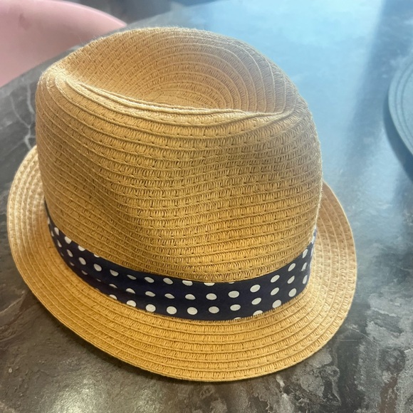 Falls Creek Tan and Blue Fedora Hat - Picture 1 of 3